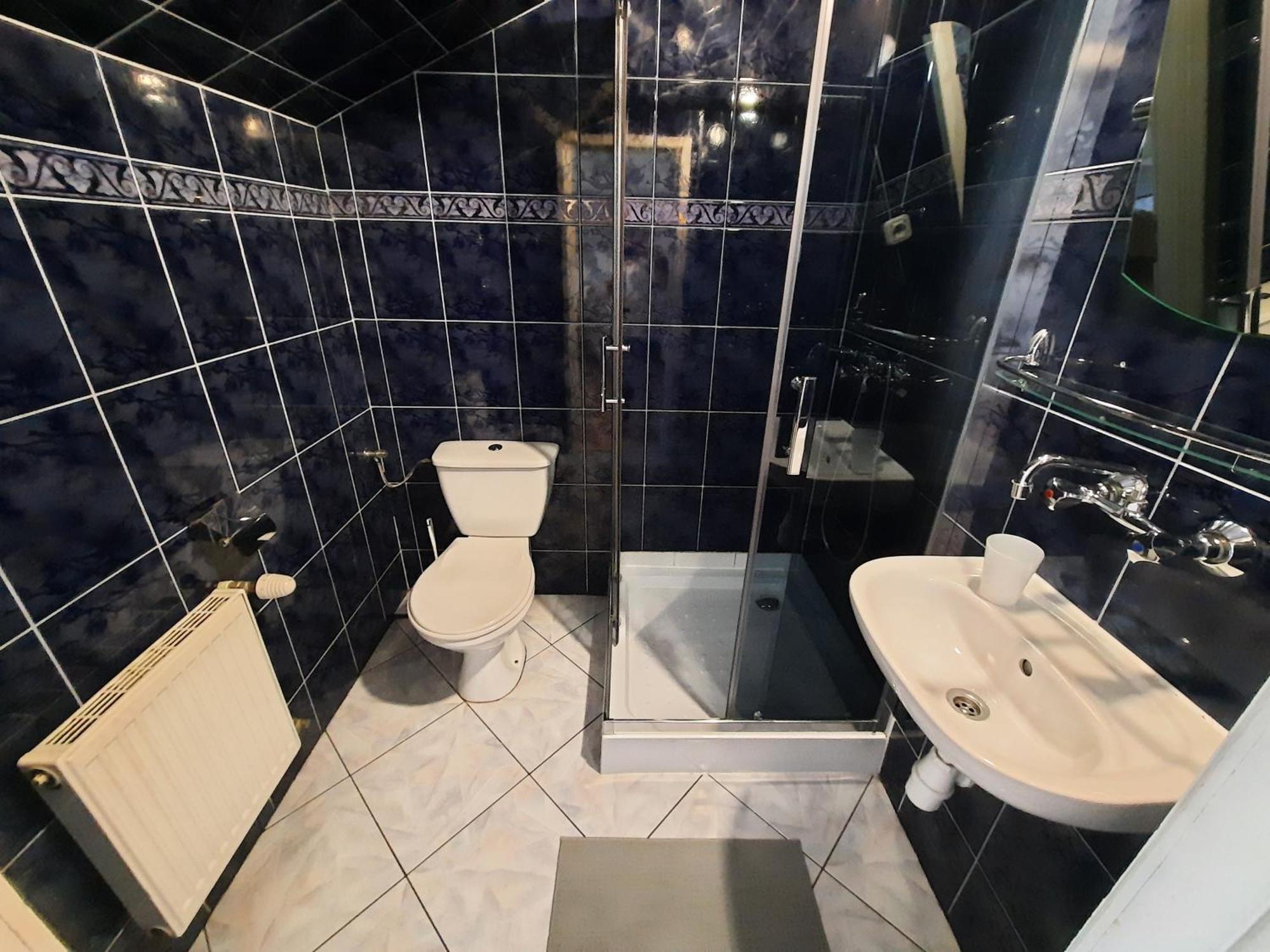Villa Gronik Закопане Экстерьер фото